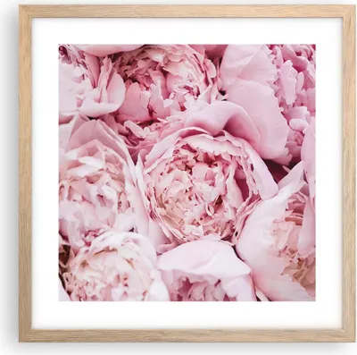 Produktbild von Gerahmtes Poster - Rahmen in heller Eiche - Blumenstrauß Blumen Rosa - 40x40 cm - Wand Bild - Wanddeko - Wandbilder - Kunstposter - Wandposter - Bilderrahmen - Bilder - Kunstdruck - P2NAC40x40-5001