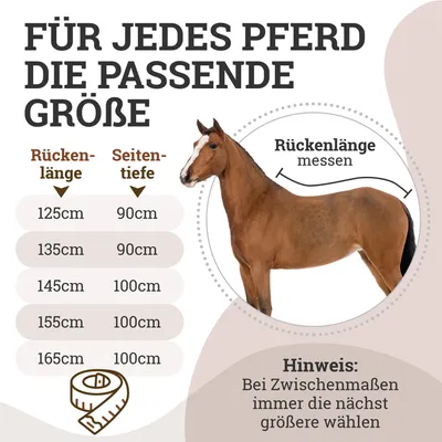 Produktbild von Abschwitzdecke "Champion Edition" Fleecedecke mit Fellkragen und Zierpaspel, Paradedecke, Showdecke Schwarz-Rosegold 135cm
