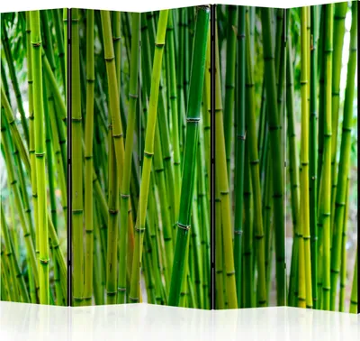 Produktbild von 5-teiliger Doppelseitiger Vlies Paravent - Bamboo Forest II 225x172 cm Orient b-B-0191-z-c
