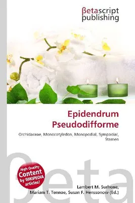 Produktbild von Epidendrum Pseudodifforme