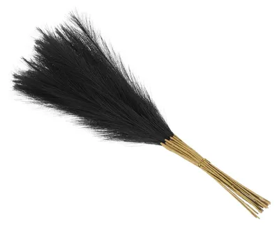 Künstliches Pampasgras, 20 Stk., 55 cm, schwarz, Dekoration