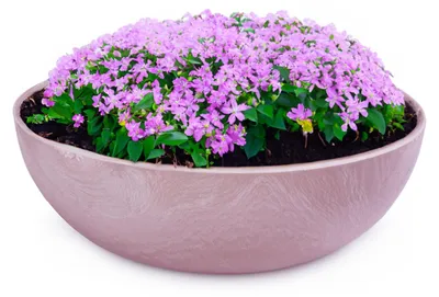 Immagine prodotto di Ciotola per piante da esterno Ciotola decorativa rotonda rosa antico marmorizzato 25 cm