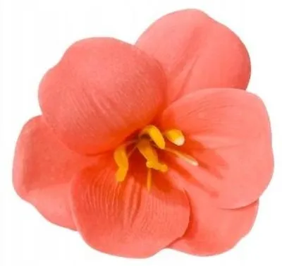 Produktbild von Domosfera Seifenblumen Magnolie Rosa Dekoration