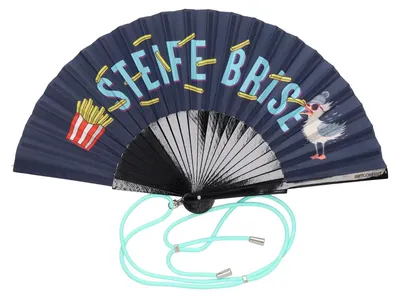 Produktbild von Gift Company Fififan Fächer Steife Brise schwarz 23cm