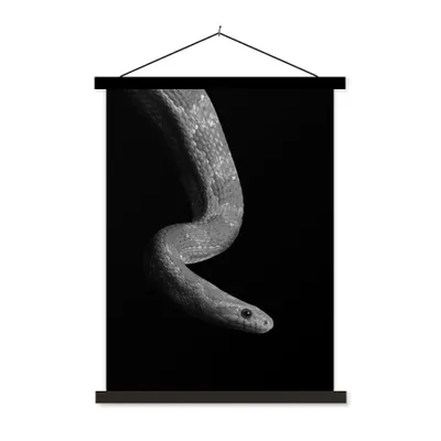 Produktbild von MuchoWow® Textilposter Tiere - Schlange - Schwarz - Weiß - Porträt 90x120 cm mit schwarzem Rahmen - Dekoration