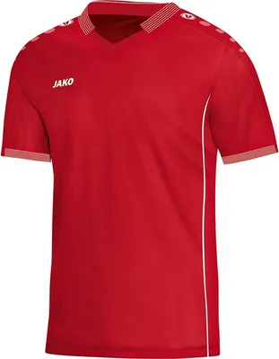Produktbild von Trikot Indoor L