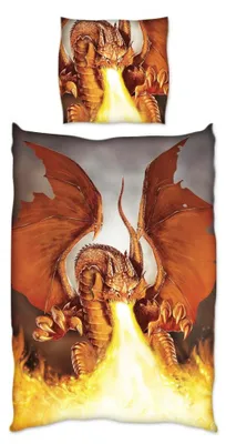 Produktbild von JACK Renforce Bettwäsche 135x200cm Feuer Drache Grau Terra Fire Dragon