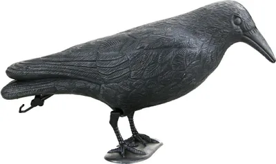Zdjęcie produktu dla figurka ogrodowa kruk 38x11x13cm