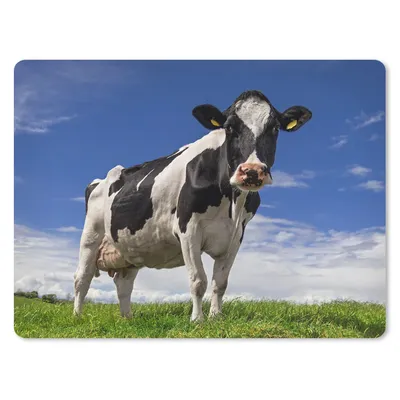 Produktbild von MuchoWow® Mauspad Mousepad Kuh - Gras - Blau - Tiere 40x30 cm - Mousepads - Maus Mat - Pad - Mausunterlage - Anti Rutsch