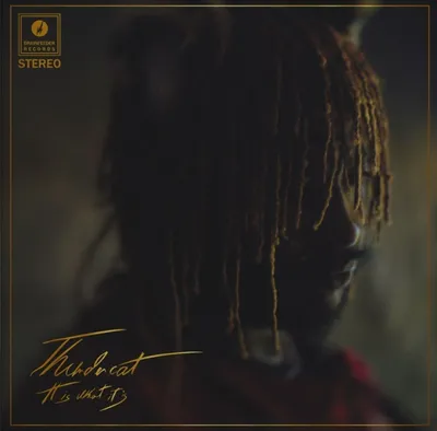 Obrázok produktu pre Thundercat: (Clear Vinyl) - Brainfeeder - (Vinyl / Rock (Vinyl))