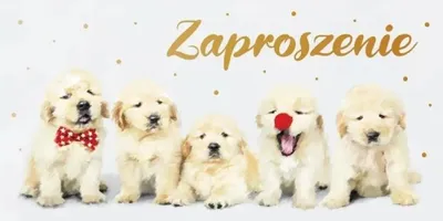 Obrázek produktu pro Pozvánky dětské Z139 (5 kusů) - AbCard