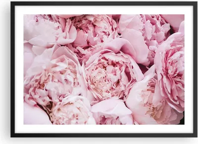 Produktbild von Gerahmtes Poster - Schwarzer Rahmen - Blumenstrauß Blumen Rosa - 70x50 cm - Wand Bild - Wanddeko - Wandbilder - Kunstposter - Wandposter - Bilderrahmen - Bilder - Kunstdruck - P2BAA70x50-5001