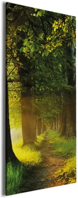 Produktbild von Wallario Premium Leinwandbild Allee bei Sonnenuntergang in Größe 30 x 75 cm
