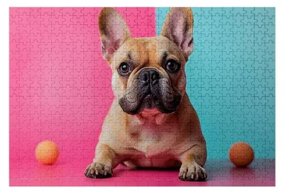 Obrázek produktu pro Puzzle s motivem psů, 3000 dílků, pro dospělé