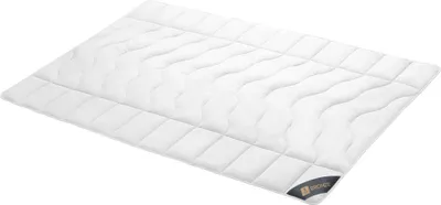 Produktbild von Spessarttraum Daunendecke Bronze Füllung: 90% Daunen/ 10% Federn Bezug: 100% Baumwolle Größe 240 x 220  cm Wärmeklasse Polar Warm