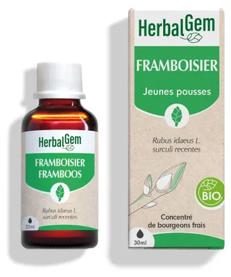 Image de Herbalgem - Bourgeon de framboisier -- 30 ml