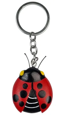 Immagine prodotto di 2Kids Toys Portachiavi in legno grande coccinella