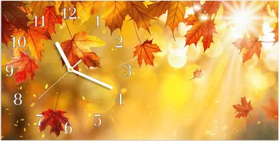 Produktbild von Wanduhr aus Glas mit Motiv Herbstblätter Sonne- 60 x 30 cm - inkl. Aufhängesystem