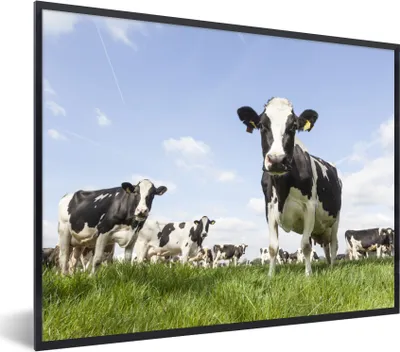 Produktbild von MuchoWow® Gerahmtes Poster Kühe - Gras - Tiere - Sonne - Bauernhof 80x60 cm - Poster mit Schwarzem Bilderrahmen Wandposter Rahmen Foto Bilder - Schwarzem - Mit Gestell