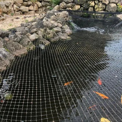 Produktbild von Teichabdecknetz 3x4m Teichnetz Teichschutz Fischreiher Laubschutz Abdecknetz