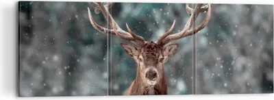 Produktbild von Bild auf Leinwand - Leinwandbild - 3 Teile - Hirsch Hirsch Winter - 120x40cm - Wand Bild - Wanddeko - Wandbilder - Leinwanddruck - Bilder - Wanddekoration - Leinwand bilder - Wandbild - CA120x40-4998