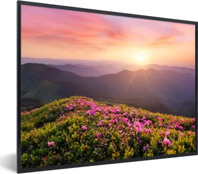 Produktbild von MuchoWow® Gerahmtes Poster Blumen - Berg - Sonnenuntergang - Landschaft 40x30 cm - Poster mit Schwarzem Bilderrahmen Wandposter Rahmen Foto Bilder - Kunstposter - Wanddekorationen