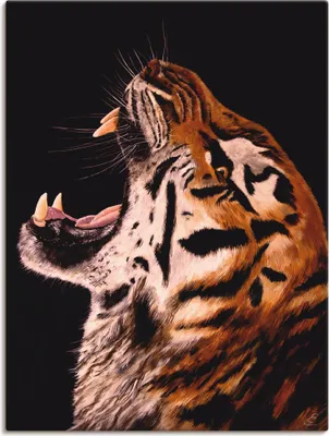 Produktbild von ARTland Leinwandbild Tiger Größe: 90x120 cm