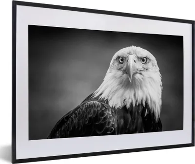 Produktbild von MuchoWow® Gerahmtes Poster Adler - Raubvogel - Schwarz - Weiß - Tiere 60x40 cm - Poster mit Schwarzem Bilderrahmen Wandposter Rahmen Foto Bilder - Schlafzimmer - Plakat in Rahmen - Drucken
