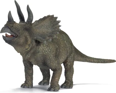 Produktbild von schleich Triceratops, 3 Jahr(e), Grau, Kunststoff