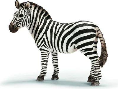 Produktbild von SCHLEICH - Wild Life, Zebra Stute (5 ct.)