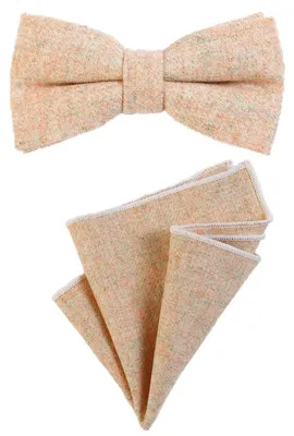 Produktbild von DonDon Herren Fliege 12 x 6 cm gebunden längenverstellbar und Einstecktuch 23 x 23 cm farblich passend aus Baumwolle sand
