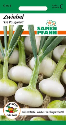 Produktbild von Frühlingszwiebel Vaugirard | Zwiebelsamen von Samen Pfann [MHD 01/2024]