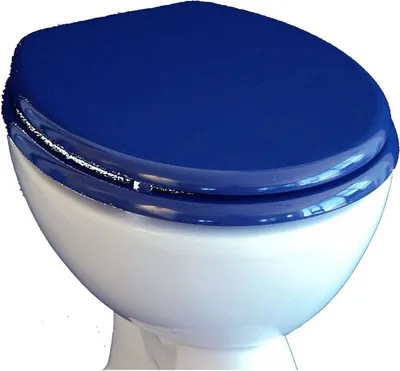 Produktbild von VCM WC Sitz Toilettendeckel Klodeckel Toilettensitz Deckel Brille Klobrille Ascoly Holzoptik mit stabilem Holzkern Blau