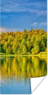 Produktbild von MuchoWow® Poster Wasser - Natur - Wald 60x120 cm - Wandschmuck