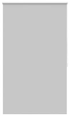 Immagine prodotto di Vidaxl Tenda a rullo Damming Grigio 100 x 175 cm