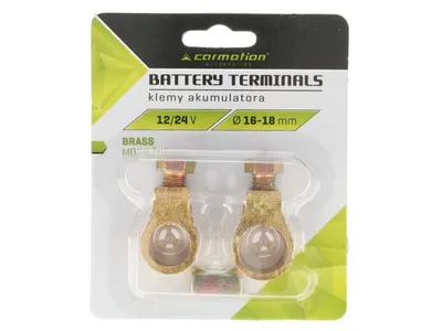 Image de Bornes de batterie en laiton, 12/24V