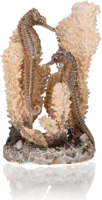 Obrázek produktu pro biOrb seahorses on coral natural S