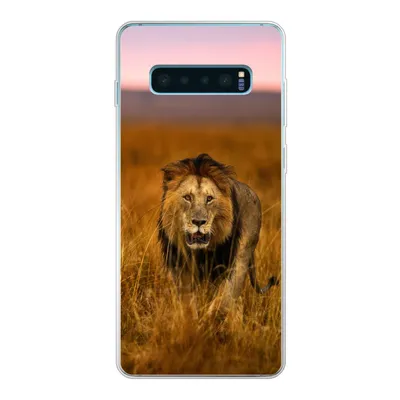 Produktbild von MuchoWow® Handyhülle Schutzhülle Hülle für Samsung Galaxy S10 Plus Löwe - Savanne - Gras Silikon Softcase Handy Hülle - Schutzhülle