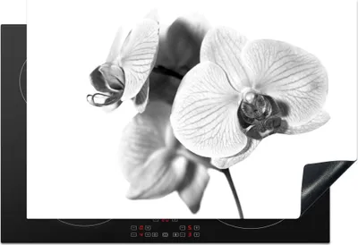 Produktbild von KitchenYeah© Herdabdeckplatte Orchideenblüte vor weißem Hintergrund - schwarz und weiß , 78x52cm, Küche Deko, Glaskeramikkochfeld Herdabdeckung, Abdeckplatte fùr Kochfeld