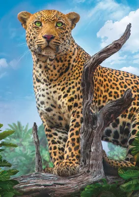 Produktbild von Trefl - Puzzle Wild Leopard - 500 dielov