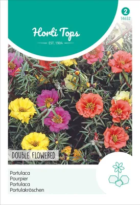 Artikelbild 2 von 'Portulakröschen Gefüllte Mischung' aus der Kategorie Blumensamen