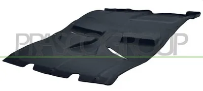 Produktbild von PRASCO CI9541900 Motorraumdämmung für FIAT Ducato Kastenwagen (250, 290) Fahrzeugfront Vorne Motorhaubendämmung