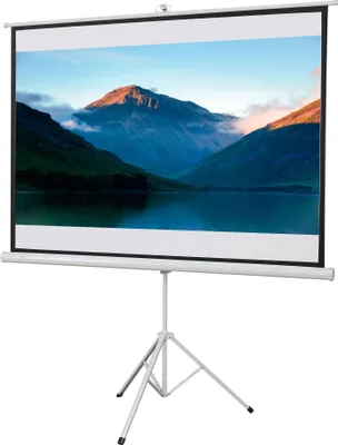 A projection screen on a tripod stand displaying a landscape image.