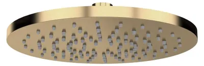 Productafbeelding van Douchekop, diameter 300mm, geborsteld goud