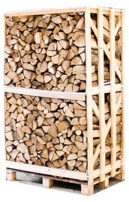Produktbild von Palette kammergetrocknetes gespalten Esche Brennholz 25cm