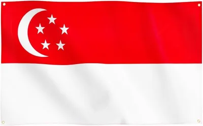 Imagen del producto de Bandeira de Singapura, poliéster, 90x150 cm, para colgar
