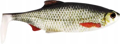Image de Westin Ricky the Roach Shadtail 14cm Véritable Gardon