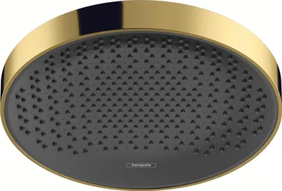 Produktbild von Kopfbrause RAINFINITY 360 Deckenmontage polished gold optic Deckenmontage