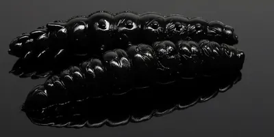 Produktbild von Libra Lures Larva Kunstköder (black)