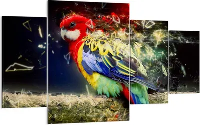 Produktbild von Bild auf Leinwand - Leinwandbild - Papagei Vogel Feder - 160x90cm - Wand Bild - Wanddeko - Leinwanddruck - Bilder - Kunstdruck - Wanddekoration - Leinwand bilder - Wandkunst - DL160x90-3682